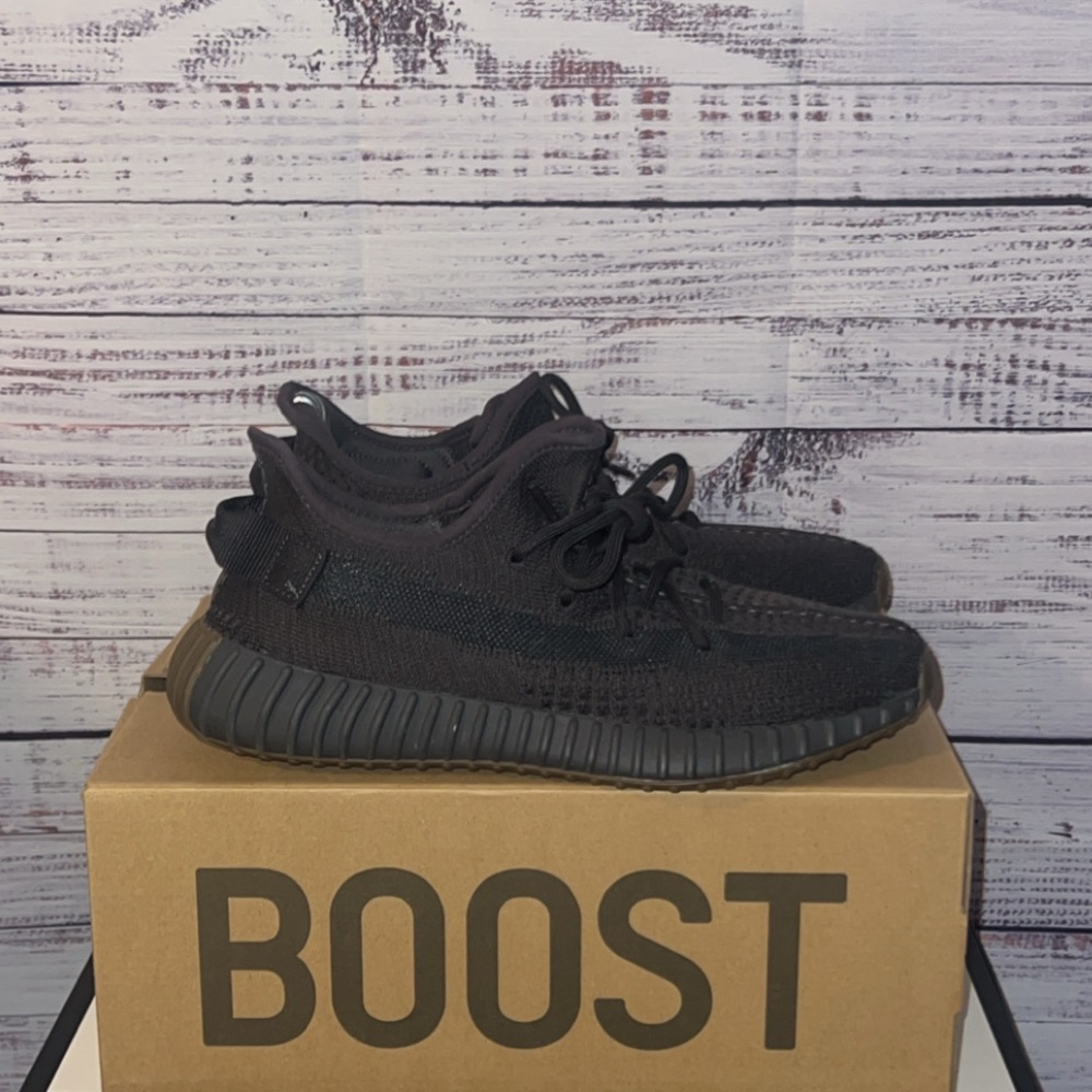 Adidas Yeezy Boost 350 V2
